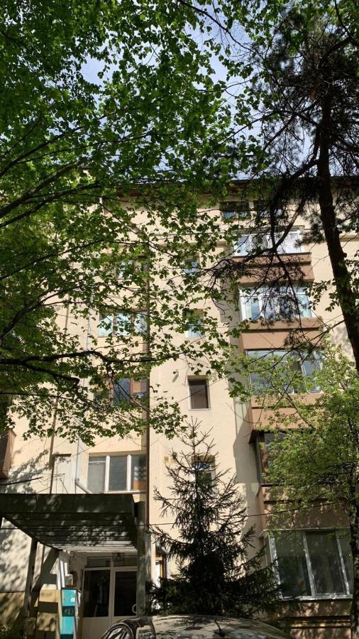 Best Apartment City Hall Suceava Eksteriør bilde