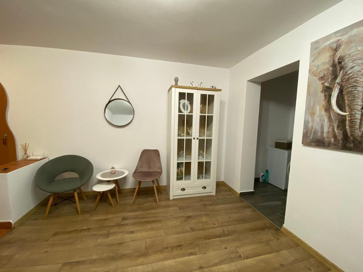 Best Apartment City Hall Suceava Eksteriør bilde