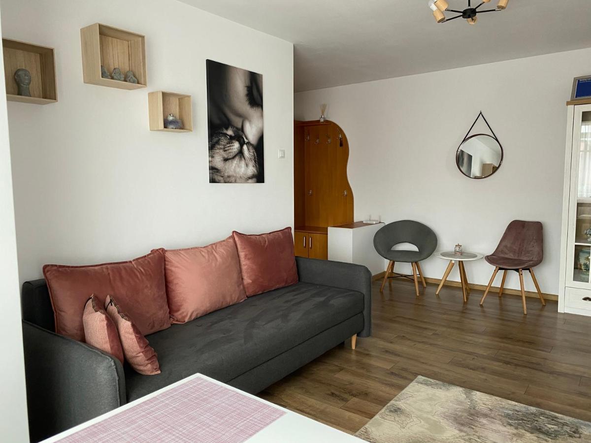 Best Apartment City Hall Suceava Eksteriør bilde